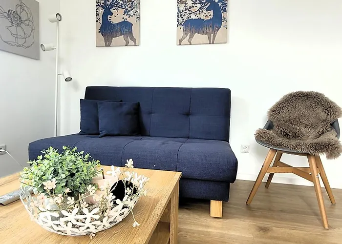 Penthouse 21125 Apartment Winterberg